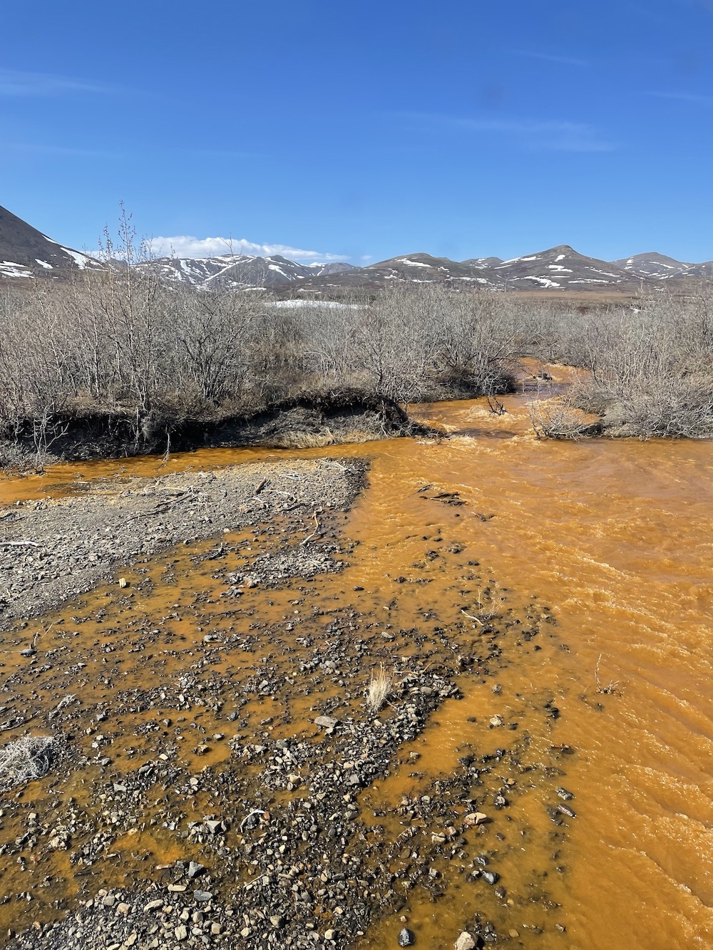 Rusty brown water flows in a stream between leafless willow shrubs. Mountains in the background have patches of snow.