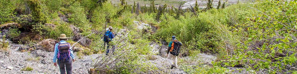 Associate professor Margaret Darrow, left, and state geologists Ronald Daanen and Trent Hubbard take GPS readings from a number of pre-installed stations as they hike down one of a series of frozen debris lobes which have appeared along hillsides in the Dietrich River valley in the southern Brooks Range, which could threaten the highway and the nearby trans-Alaska pipeline. 香港六合彩开奖直播 photo by Todd Paris